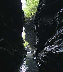 Robber's cave dehradun